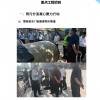 山東伸達建設(shè)集團有限公司------上半年工作簡報