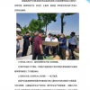 山東伸達建設(shè)集團有限公司------上半年工作簡報